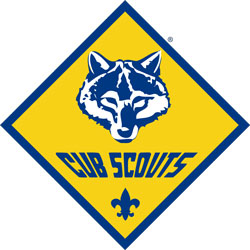 Cub Scouts