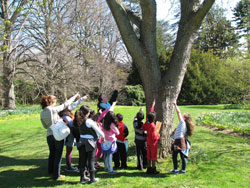 Education Groups